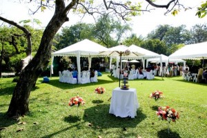wedding-reception-buffet-personal-chef-600 wedding-reception-buffet-personal-chef-600